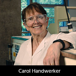 carol_handwerker_250.jpg