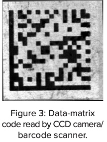 Schmoll_Ma25_Fig3_cap.jpg