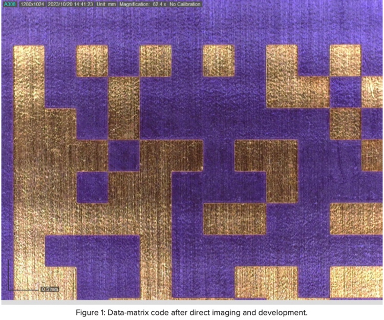 Schmoll_May25_Fig1_cap.jpg