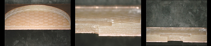 Schmoll_fig1_0825.jpg