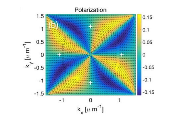 Polaritons2.jpg