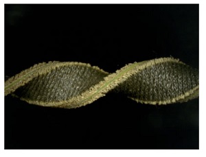soft_fabric.jpg