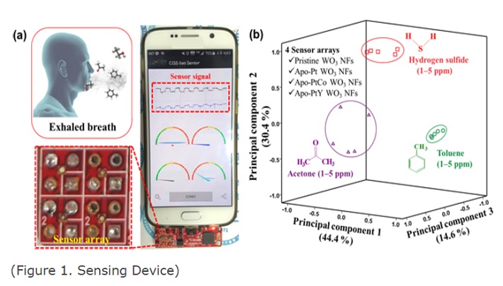 Nanosensor1.jpg