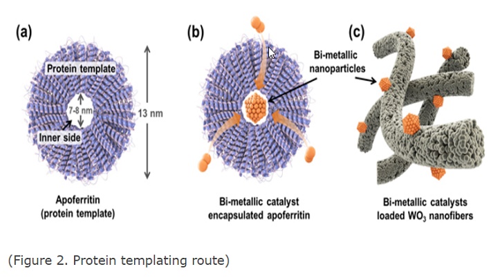 Nanosensor2.jpg