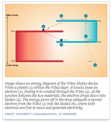photodetector1.jpg