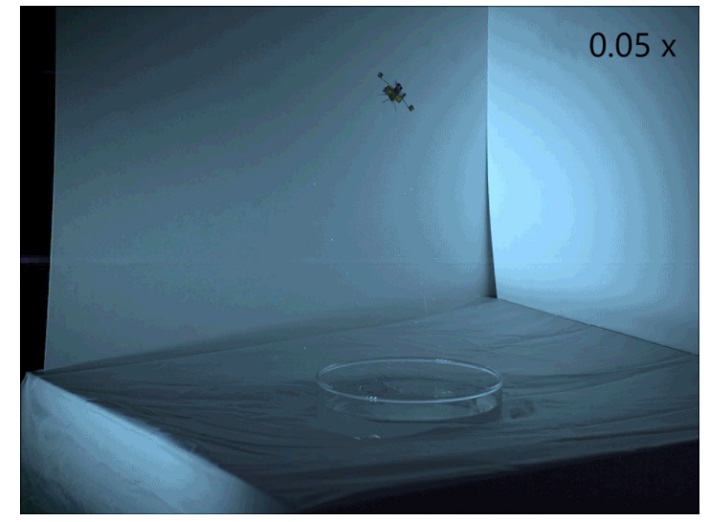 robobee1.jpg