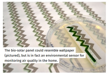 biosolar2.jpg