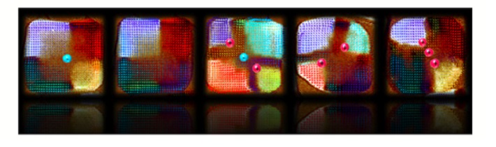 Topological_Defects2.jpg