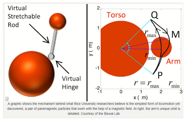 microrobots3.jpg