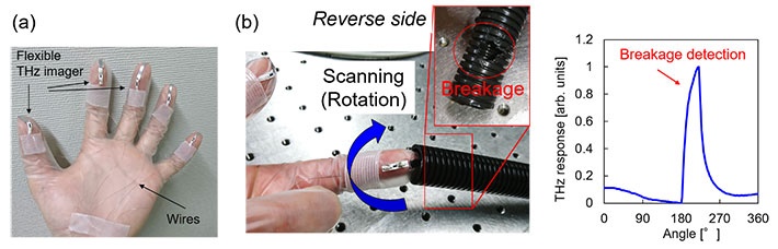fingertip1.jpg