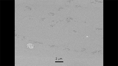 nano-kirigami-1.jpg
