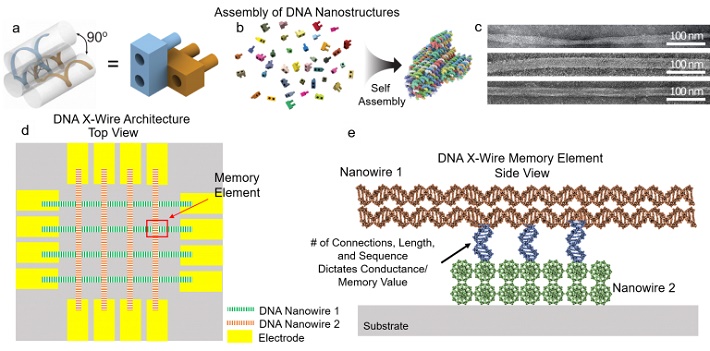 DNA_ROM.jpg