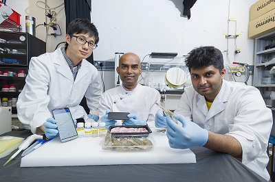 biogenic.jpg