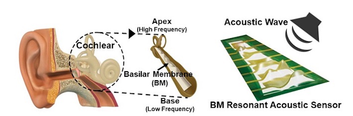 piezoelectric1.jpg