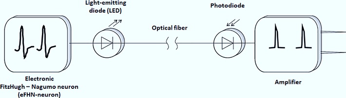 opto1.jpg