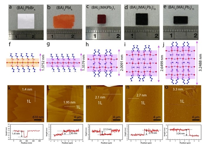 opto1.jpg