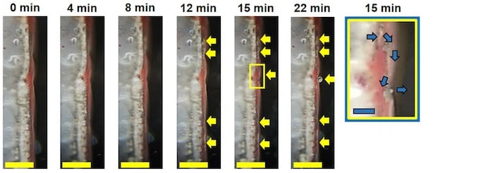 batteries2.jpg