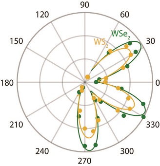 semicon3.jpg