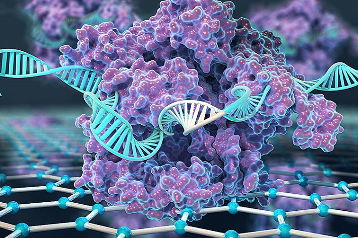 CRISPR1.jpg