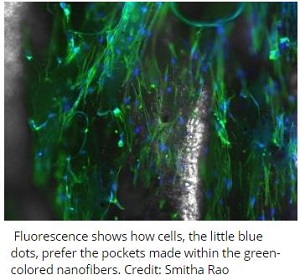 nanofiber2.jpg