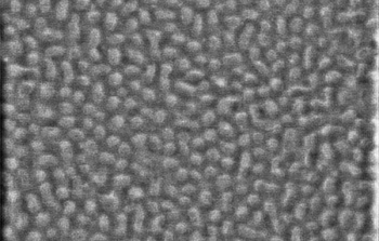 Skyrmions1.jpg