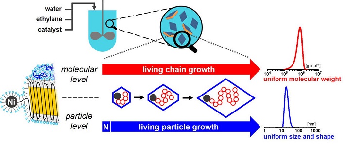 nanocrystal.jpg