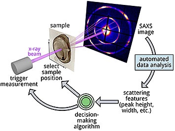 experimentalloop.jpg