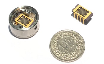 chip2.jpg