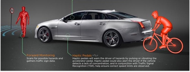 jaguar.jpg