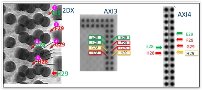 FlextronicsFig3-62915.jpg