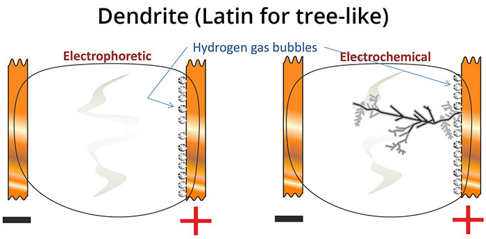 Gen3_book_fig01.jpg