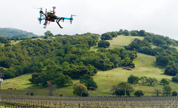 drone_vineyard.jpg