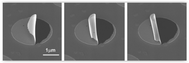 nanoparticle.JPG