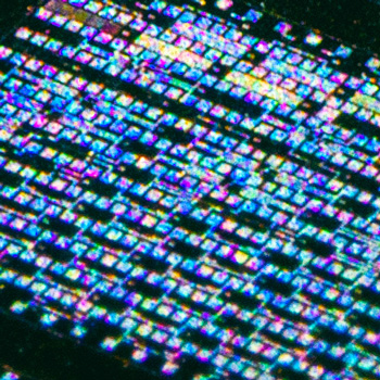 semiconductor_wafer_macro.jpg