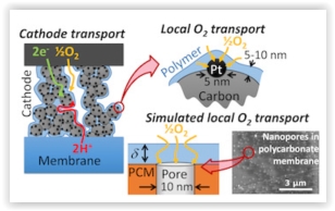 fuel_cells.JPG