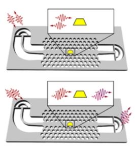 quantum_networks.JPG