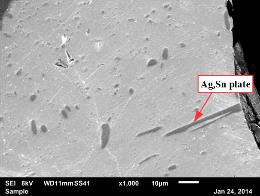Figure16-Flex-1Mar16.jpg