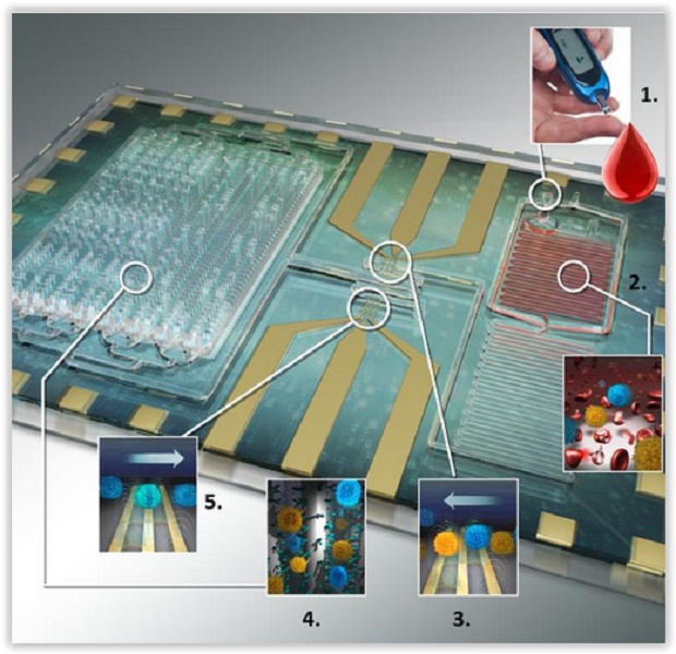 HIV_Chip2.jpg