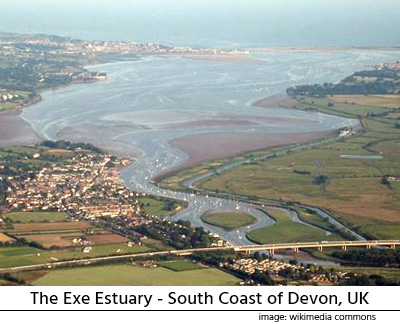 exe-estuary.jpg