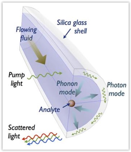 biodetection2.jpg