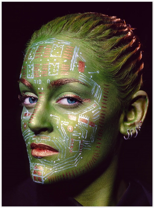 painted_lady.jpg