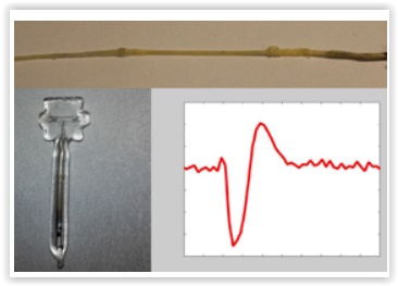 Magnetic_Field2.jpg