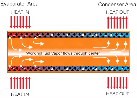 ACT-Figure 1.jpg