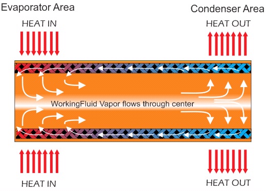 ACT-Figure 1.jpg