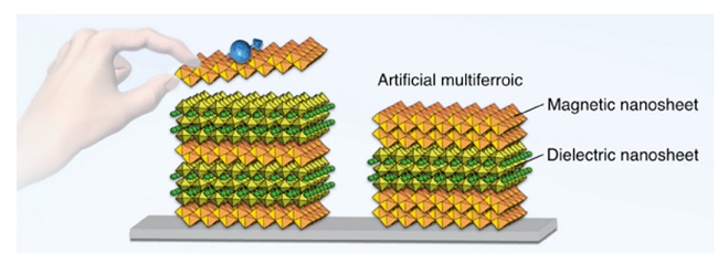 multiferroics.jpg