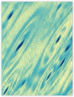 quantum3.jpg